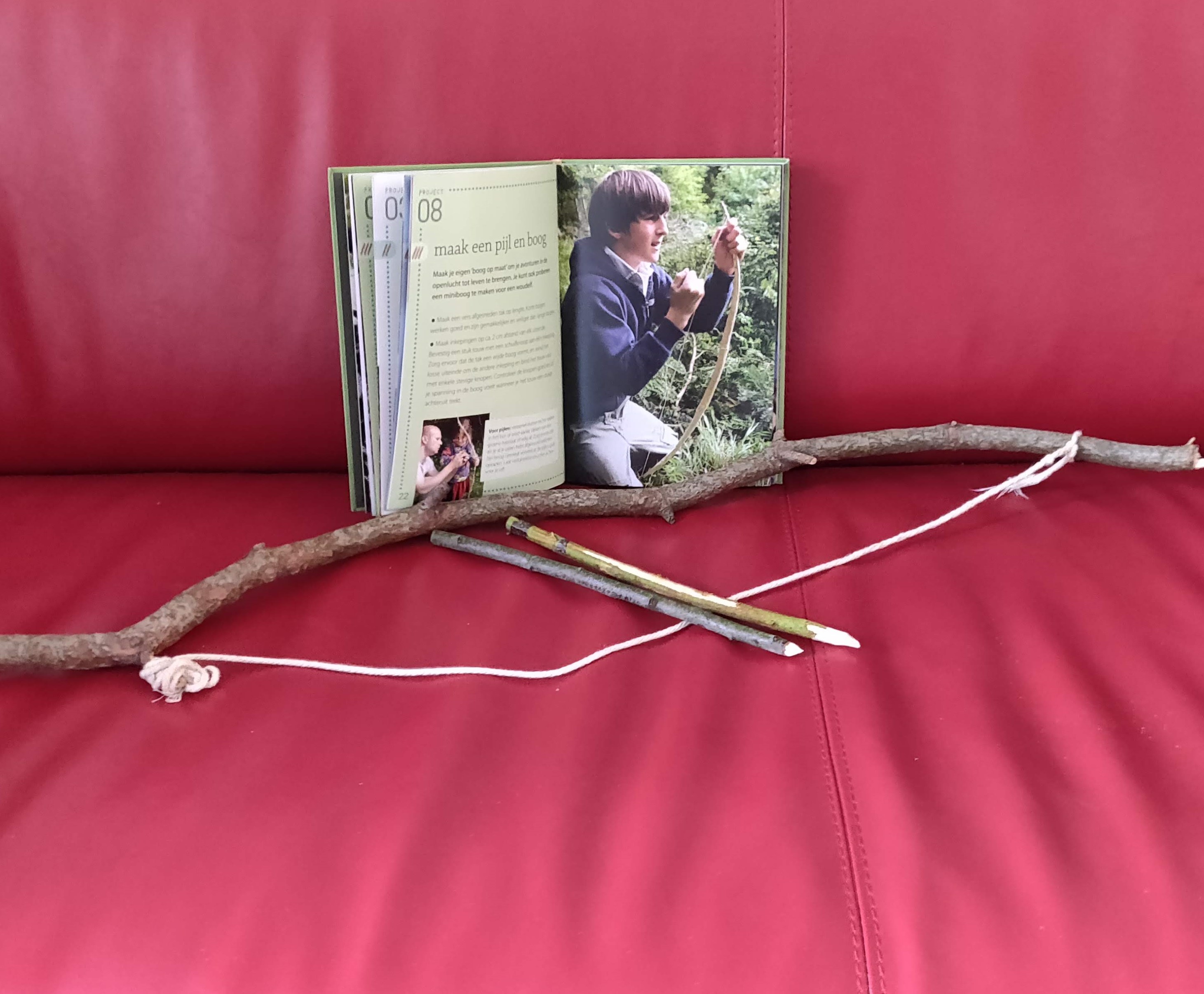 Bosboek pijlenboog