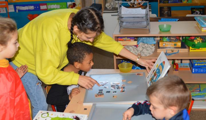 Dina puzzel boeken
